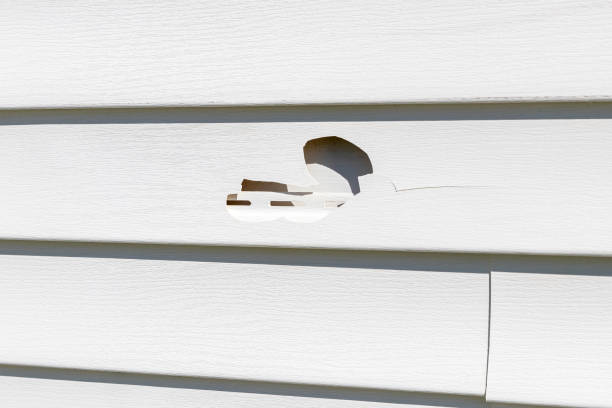 Best Insulated Siding Installation  in Harrisonburg, VA