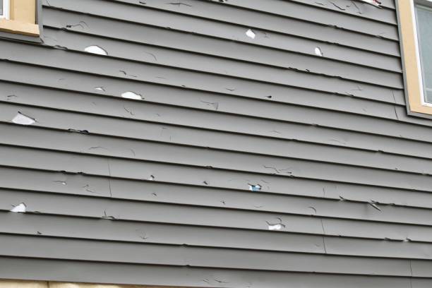 Best Siding Removal and Disposal  in Harrisonburg, VA