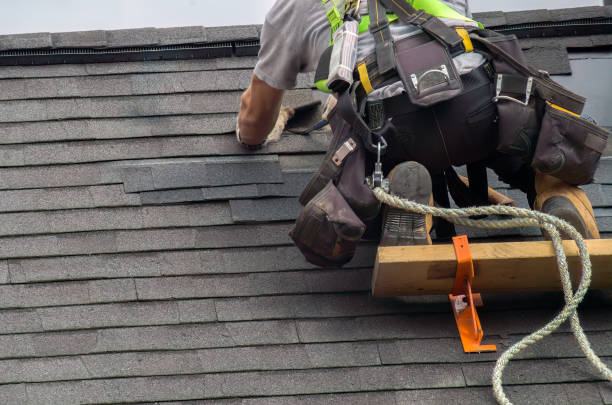 Best Storm Damage Siding Repair  in Harrisonburg, VA