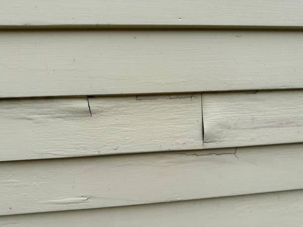 Best Residential Vinyl Siding Installation  in Harrisonburg, VA
