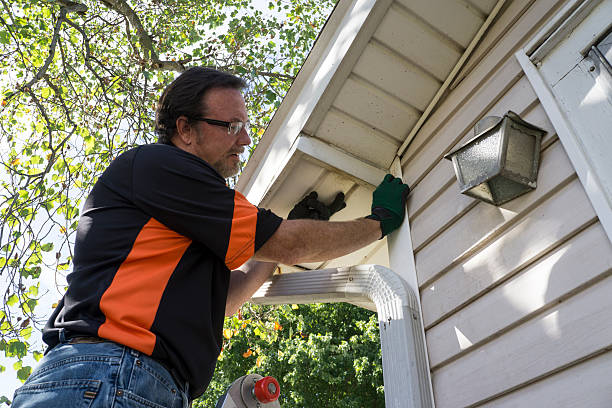 Best Stucco Siding  in Harrisonburg, VA