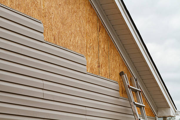 Best Custom Siding Design  in Harrisonburg, VA